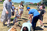 В саратовском парке высадили 100 саженцев дуба